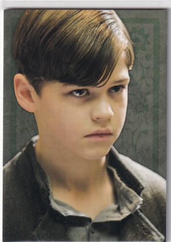 Panini harry potter evolution - potter,
