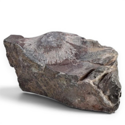Suiseki pietra osservazione - pietra,