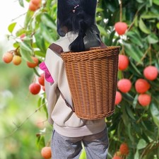 Cestino di frutta intrecciato