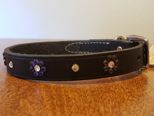 Collare blinged out cane - collare, gatto