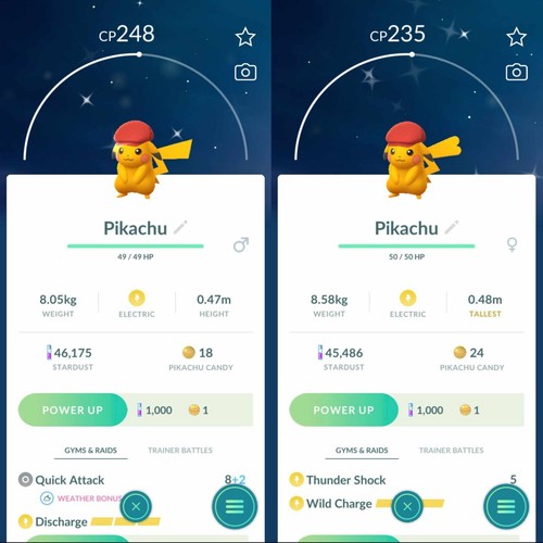 Pokemon shiny pikachu rei - pokemon,