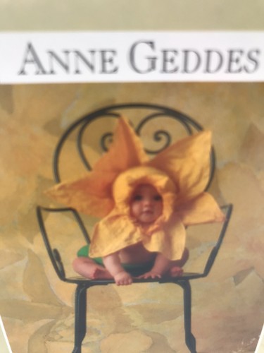 Nuovo anne geddes puzzle - geddes, 100