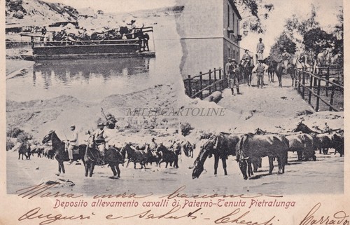 Paternò deposito - -,
