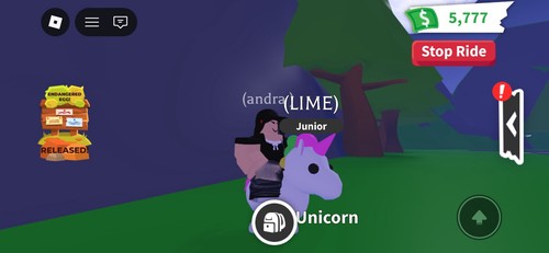 Ride unicorn adopt virtual - adopt,