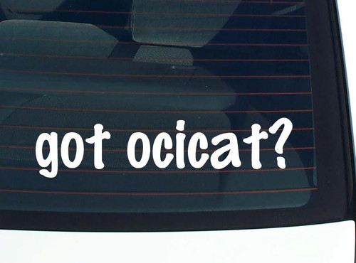Got ocicat decalcomania - decalcomania, auto