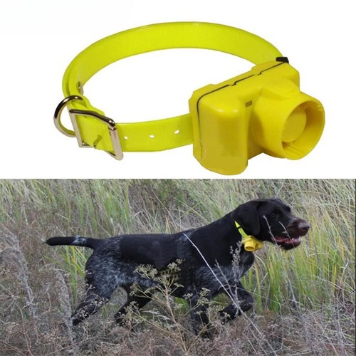 Collare addestramento cani - , da