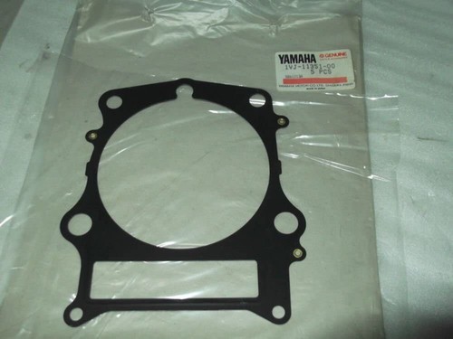 Guarnizione base cilindro - base,