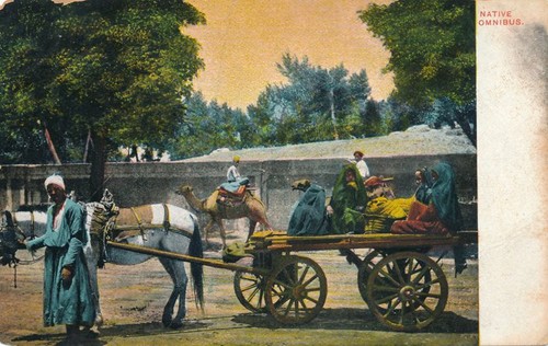 Omnibus nativo trainato - , da