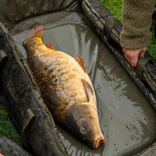 One more cast - more,