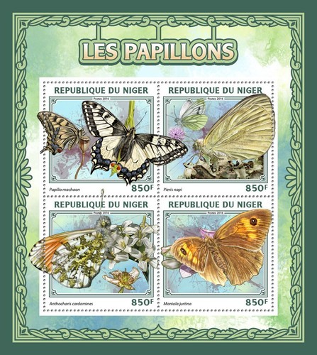 Farfalle papilio machaon - farfalle, (papilio