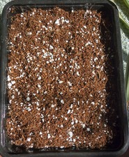 Substrato per piante carnivore