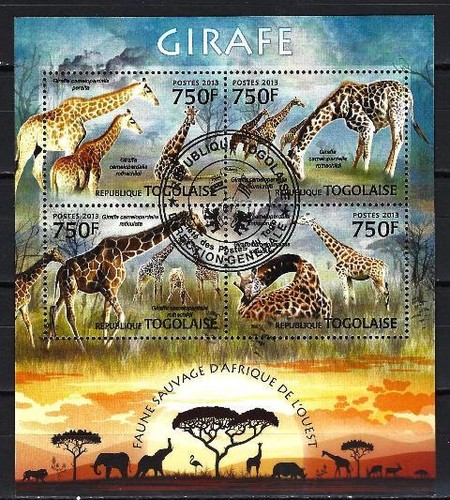 Animali giraffe togo 2013 - animali,