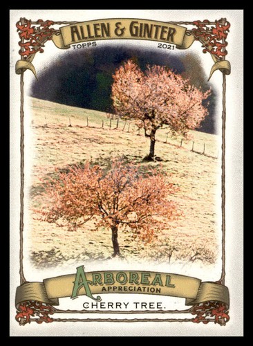 2021 topps allen ginter - 2021,