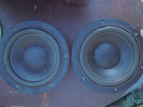 Dynaudio 170 - mw,