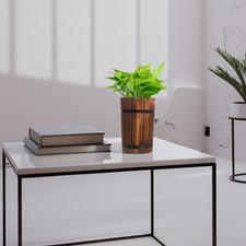  Botte in Legno Da Giardino