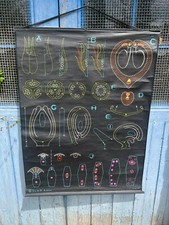 Manifesto Antica Scuola