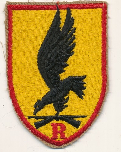 Patch eagle militare - r,