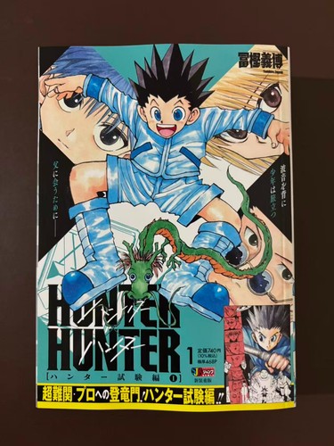 Hunter manga - hunter,