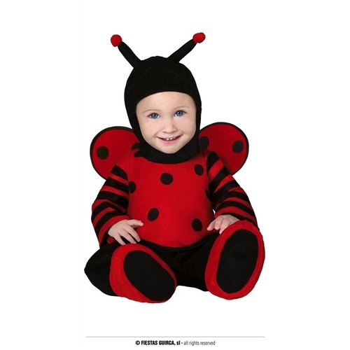 Costume coccinella carnevale - costume,