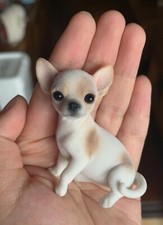 Jxk fluff chihuahua cane - chihuahua,