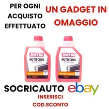 2 Litri Antigelo Liquido