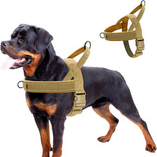 Pettorina Cane Taglia Grande