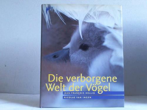 Die verborgene welt - verborgene,
