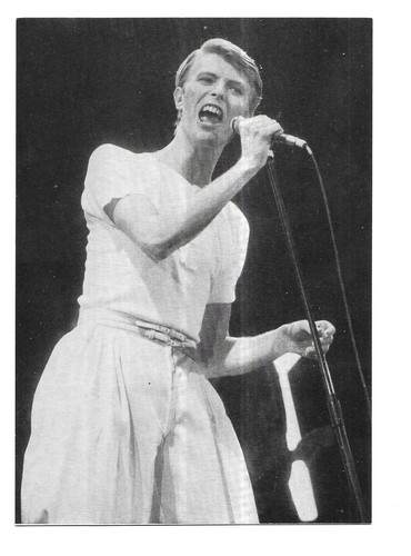 Rare carte postale david - rare,