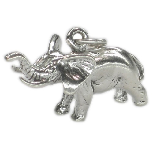 Ciondolo argento sterling - in,