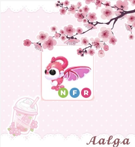 Adopt nfr cupid dragon - adopt,
