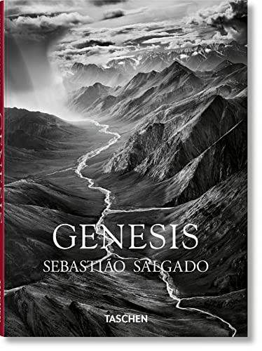 Sebasti salgado genesis - sebasti�o,