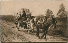 Primi '900 Immagine carrozza cavallo campagna fieno FP B/N ANIM