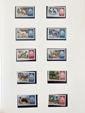 San Marino Cani Uccellini