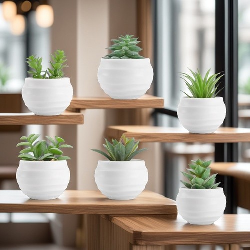 Piante succulente artificiali - succulente,