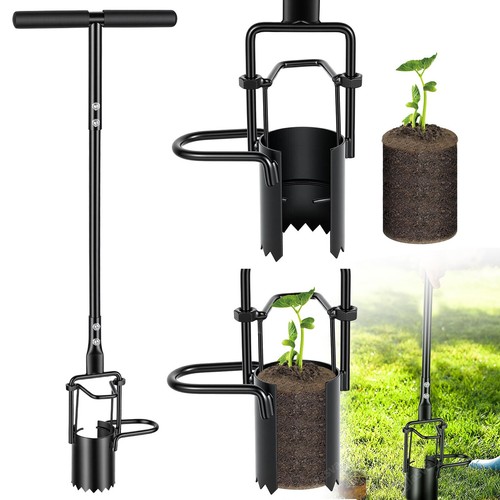 Set fioriera per - , cipolle