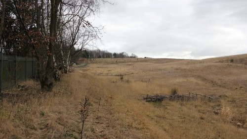 Photo 6x4 grassmoor - 6x4, country