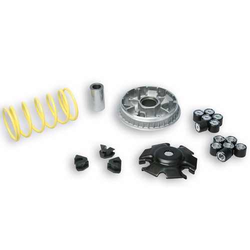Variatore multivar malossi - variatore,