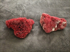 2 PEZZI DI  CORALLO ROSSO