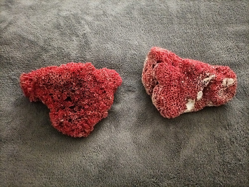 Pezzi corallo rosso - ,