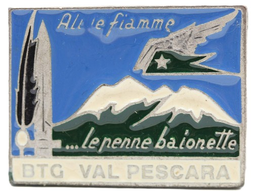 Distintivo spilla esercito - distintivo,