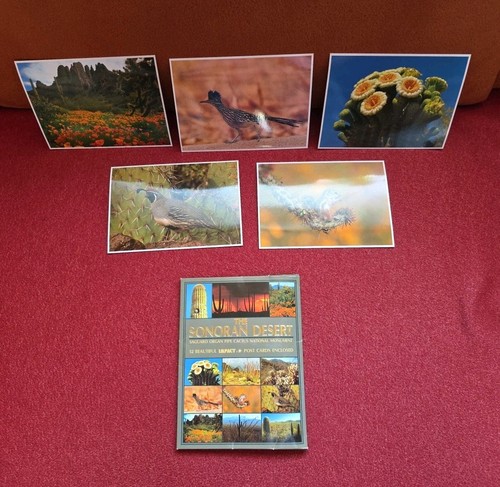 The sonoran desert saguaro - the,