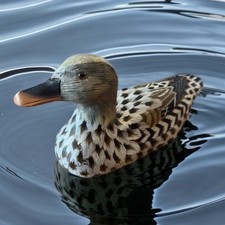 Cabina rustica arredamento