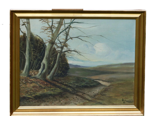 Olaf lofwall paesaggio - olaf,