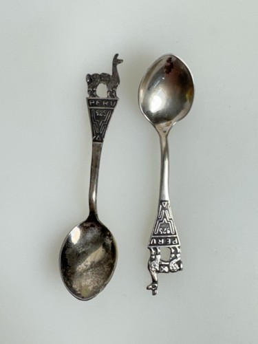 Coppia cucchiaini souvenir