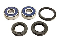 Kit cuscinetti ruota 25-1319