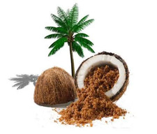 Zucchero di palma da cocco biologico venditore UK