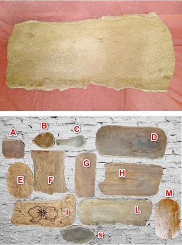 Gr7 ciotola vassoio - (l), /