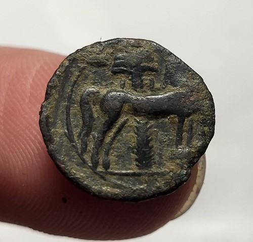 148 zeugitane carthage - #148,