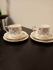 Due Tazze da the trio Fine