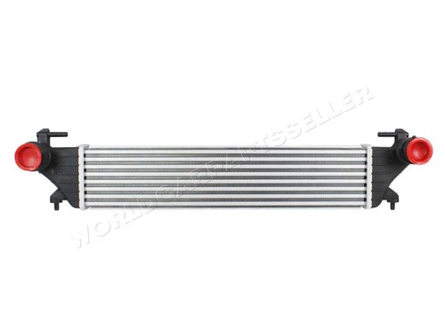 Charger intercooler for fiat - charger,